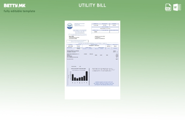 Модерен стил на САД Lakewood Water District шаблон за комунални сметки